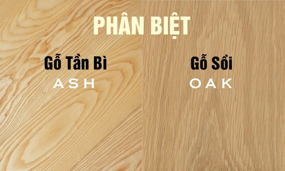 su khac biet giua go soi va go tan bi phan loai va ung dung trong noi that gia dinh