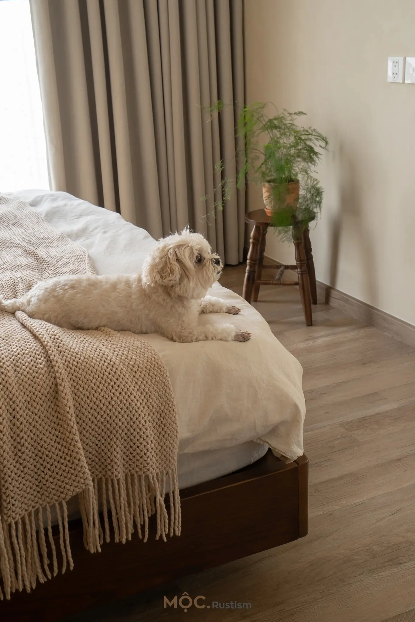 mau thiet ke chung cu phong cach hien dai toi gian tk16451 7