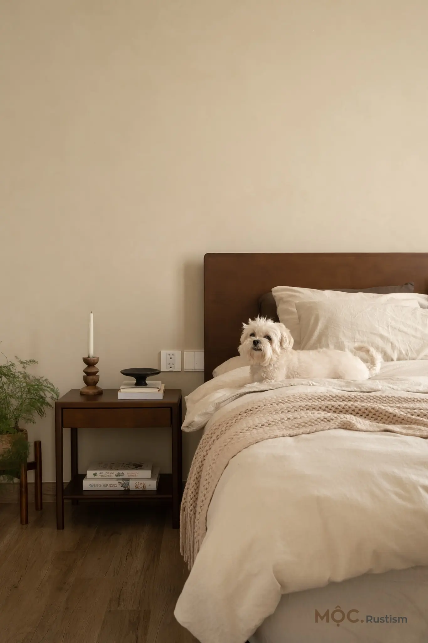 mau thiet ke chung cu phong cach hien dai toi gian tk16451 8